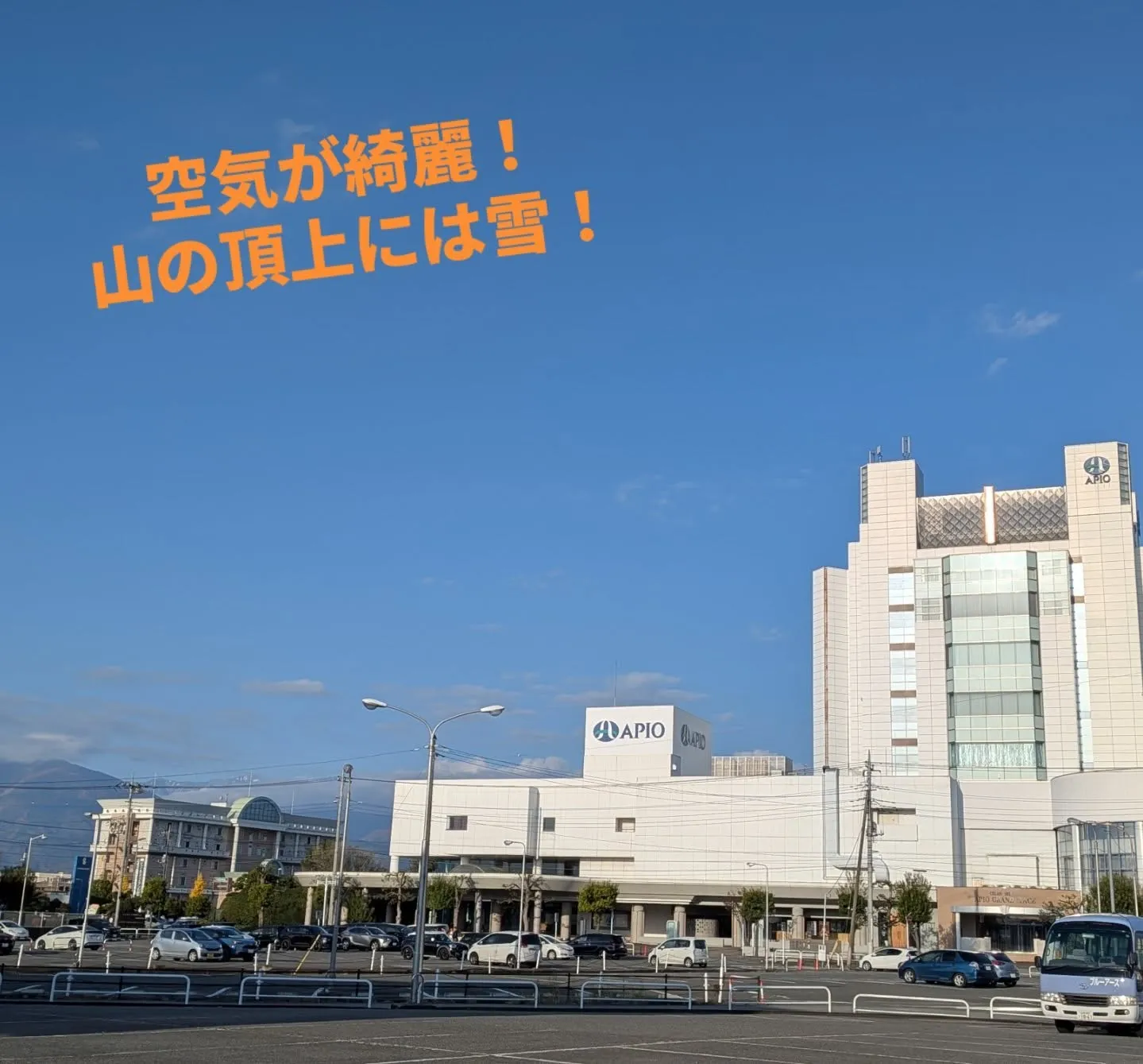 関東甲信越ブロック理学療法士学会に参加してきました!