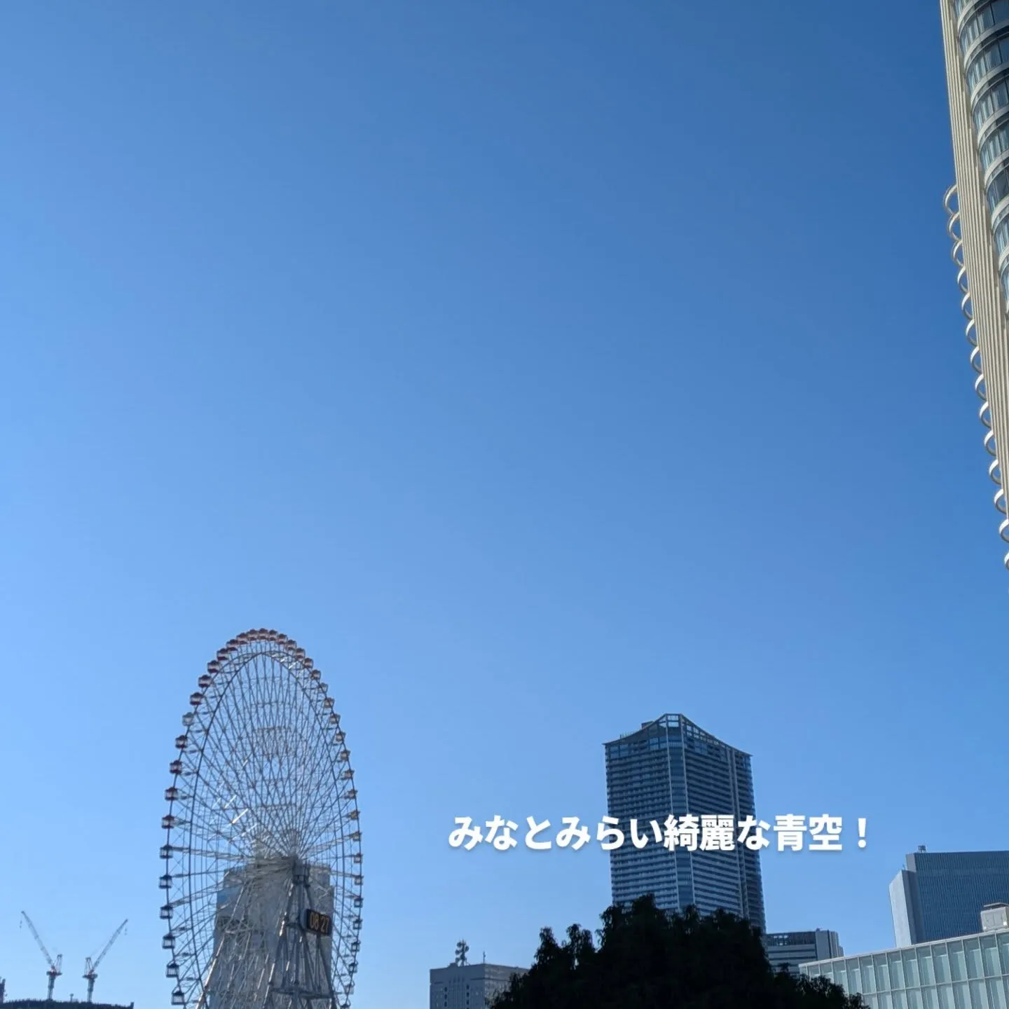 日々精進！日曜日2神奈川県理学療法士学会に参加してきました。