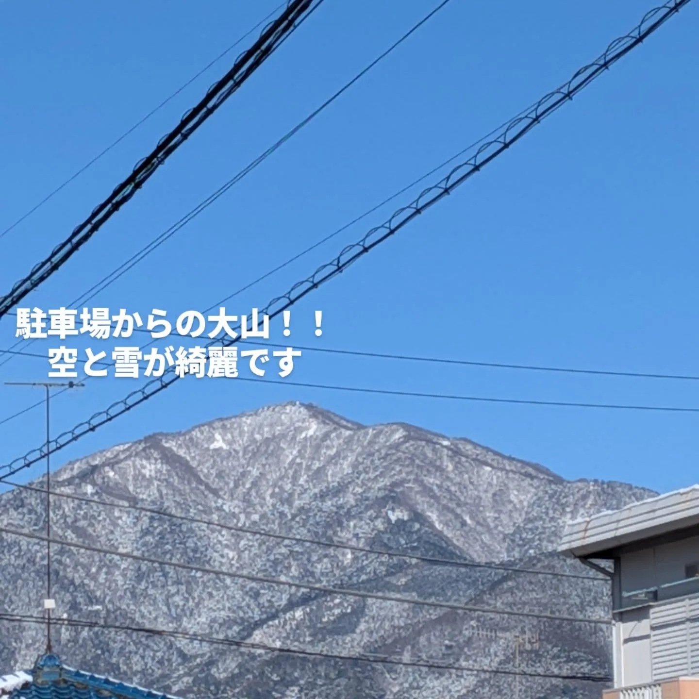 関東は日曜日に何年振りの雪が降りました。